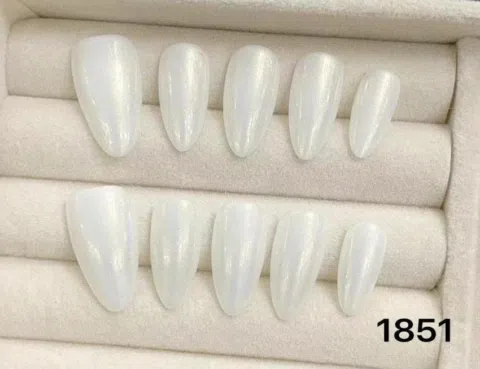 1851